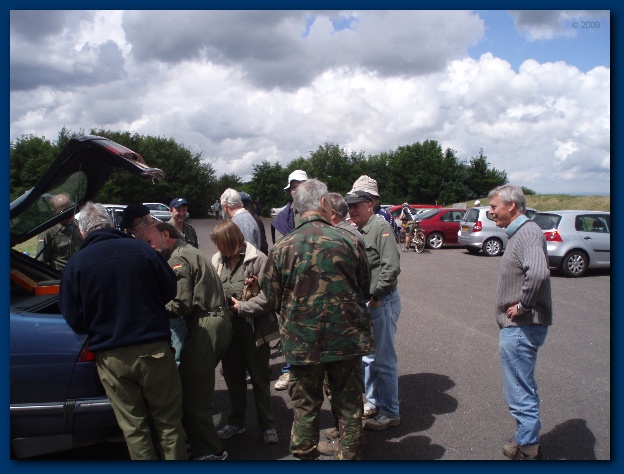 600x449 pixels (116K)